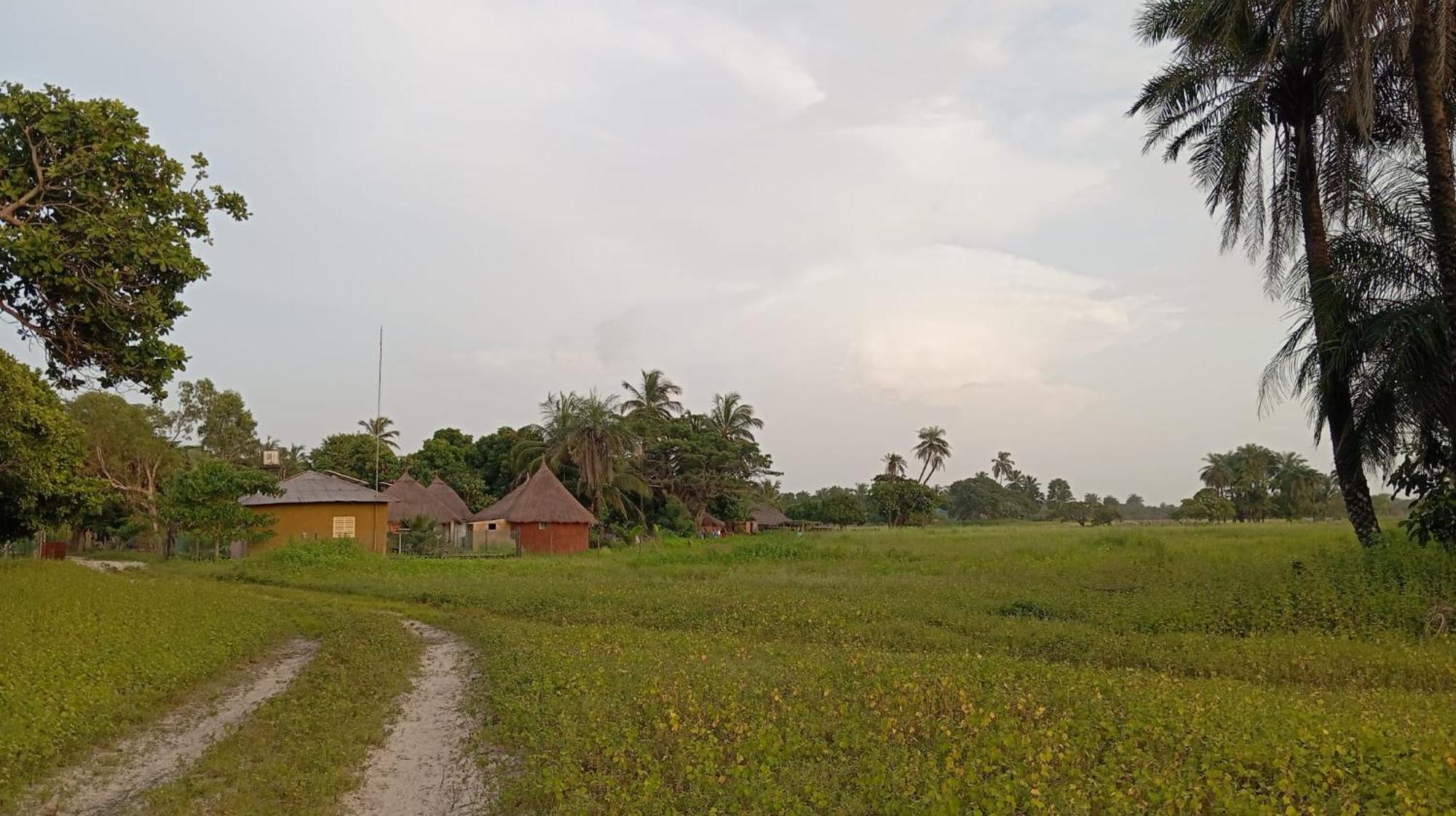 Campement Graine De Paradis Kachiouane Exterior foto